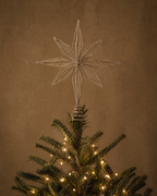 The Champagne Gold Tree Topper