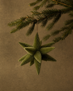 The Olive Bottlebrush Star Ornament