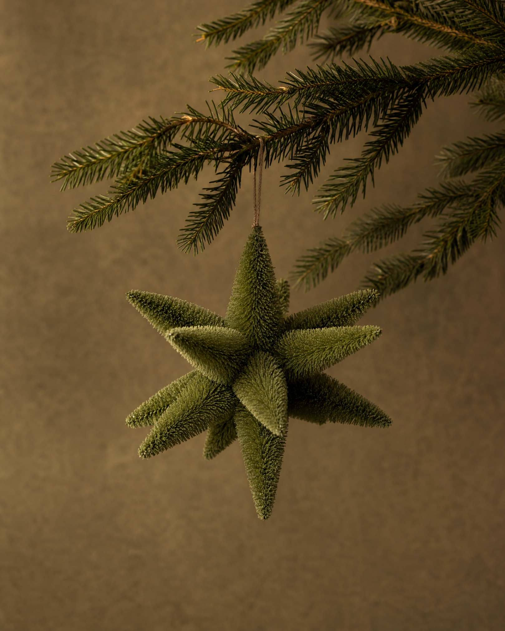 The Olive Bottlebrush Star Ornament