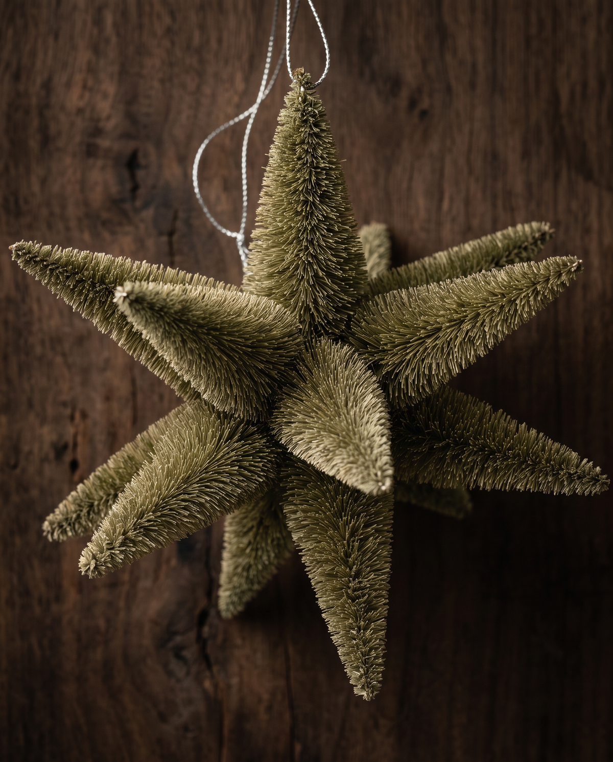 The Olive Bottlebrush Star Ornament