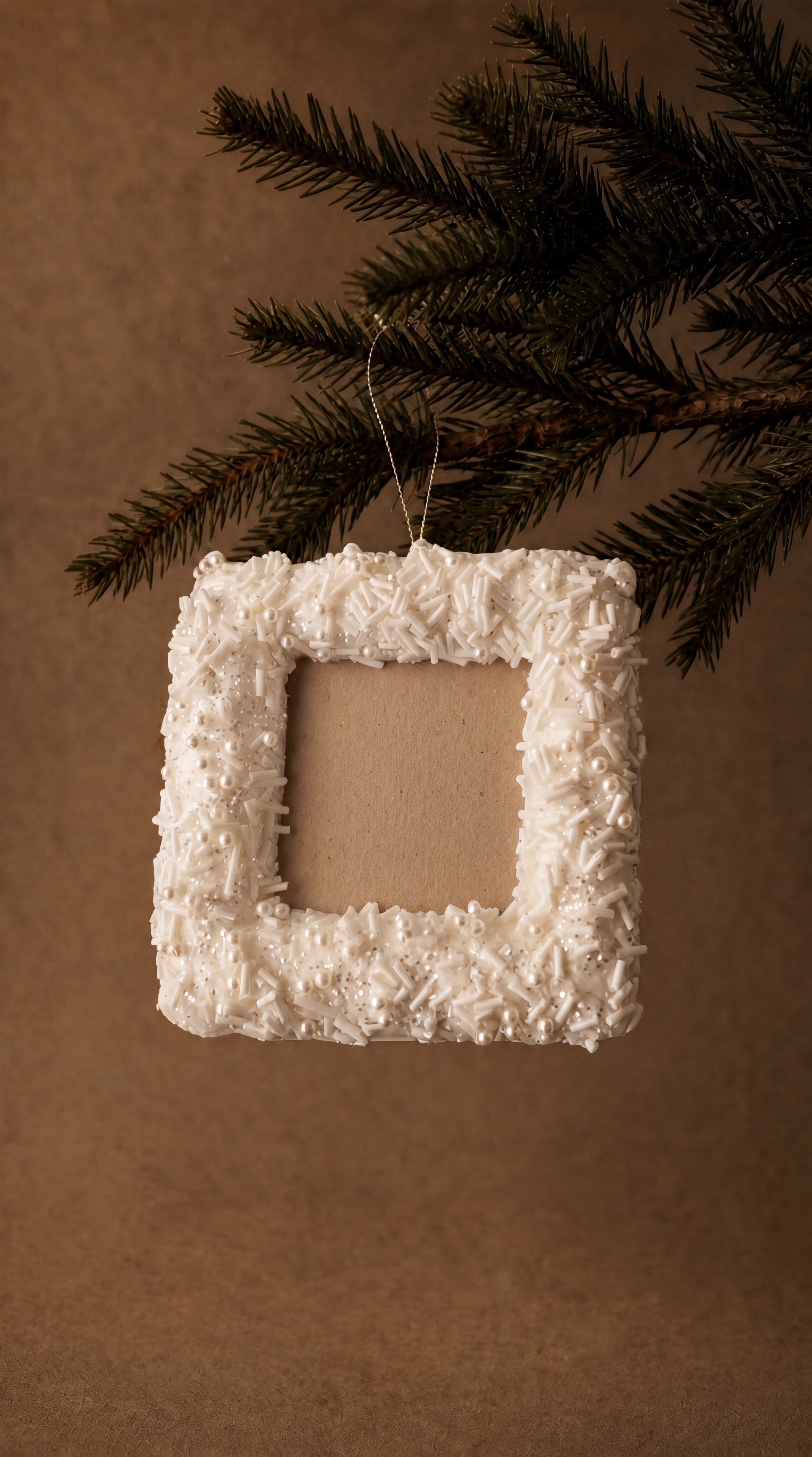 Pearl Beaded Frame Ornaments