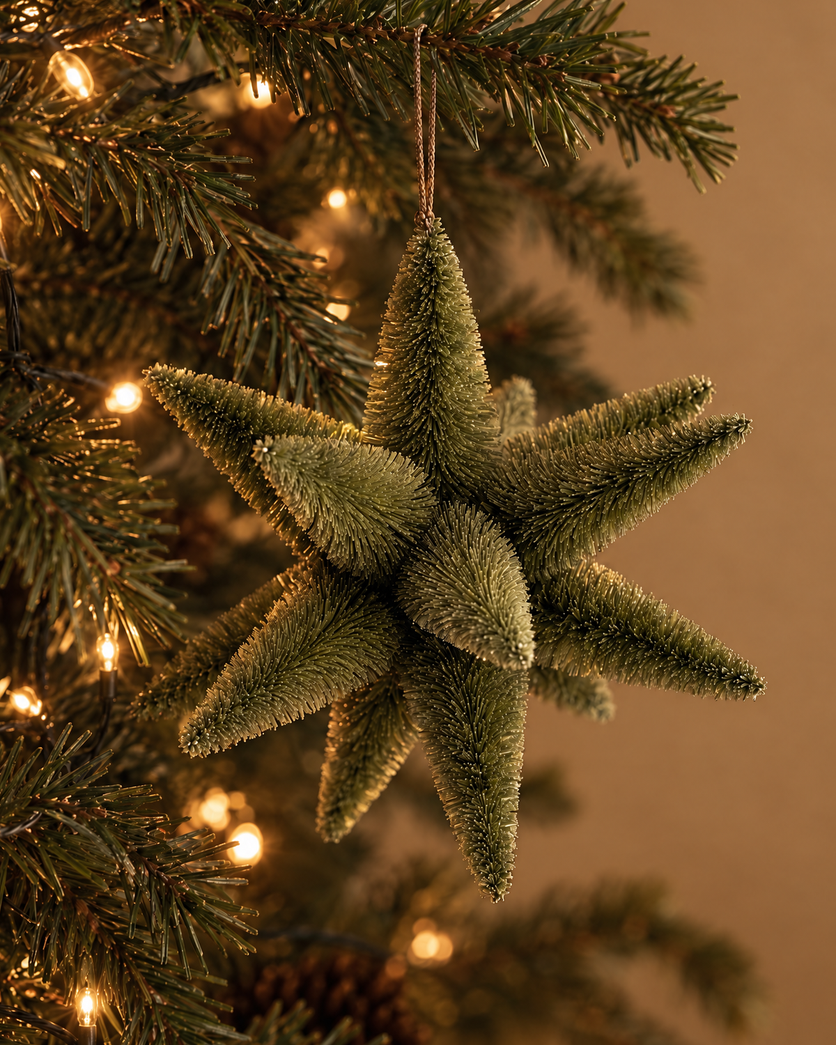 The Olive Bottlebrush Star Ornament