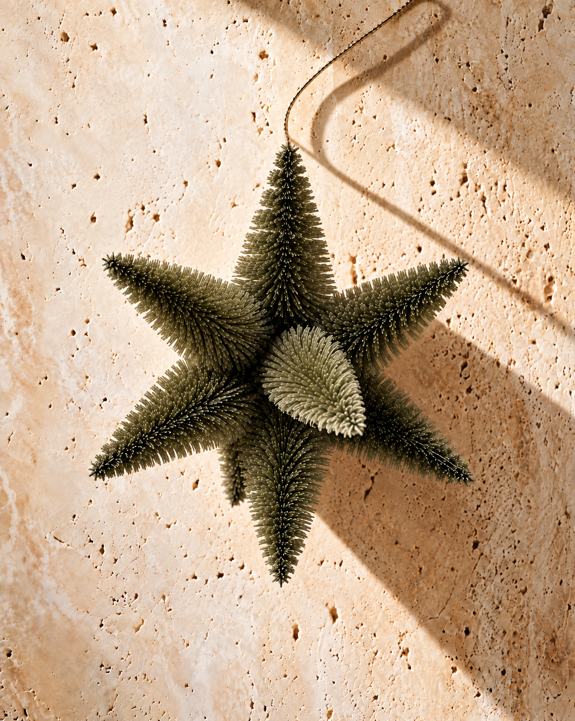 The Olive Bottlebrush Star Ornament